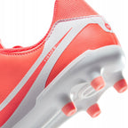 Nike Tiempo Legend 10 Academy FG/MG DV4848-800