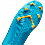 Nike Vapor 14 Club FG/MG DJ2903-484