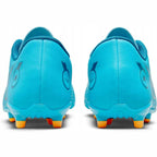 Nike Vapor 14 Club FG/MG DJ2903-484