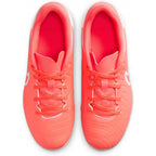 Nike Tiempo Legend 10 Academy FG/MG DV4848-800
